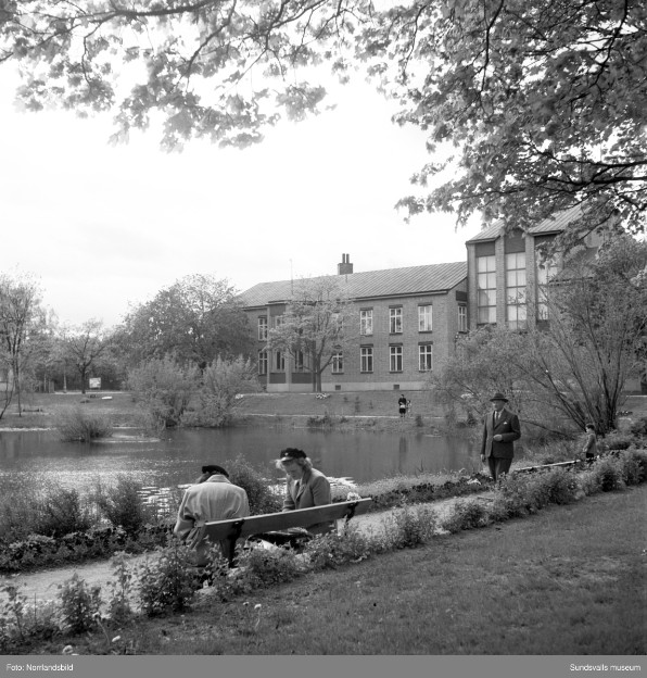 Hovrätten för Nedre Norrland, 1953. Byggnaden uppfördes 1948 av Backström & Reinius, med senare utbyggnader 1994 och 2008.  Fotograf/Bildkälla: Norrlandsbild, 1953.